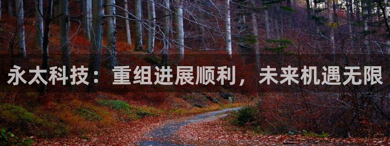 永太科技：重组进展顺利，未来机遇无限