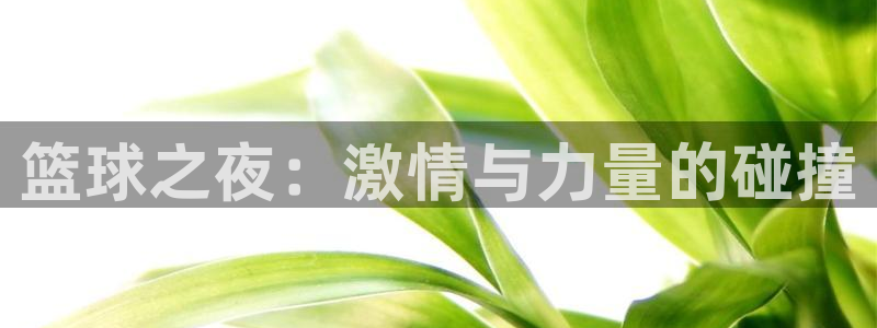 篮球之夜：激情与力量的碰撞