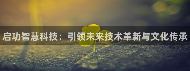 启功智慧科技：引领未来技术革新与文化传承