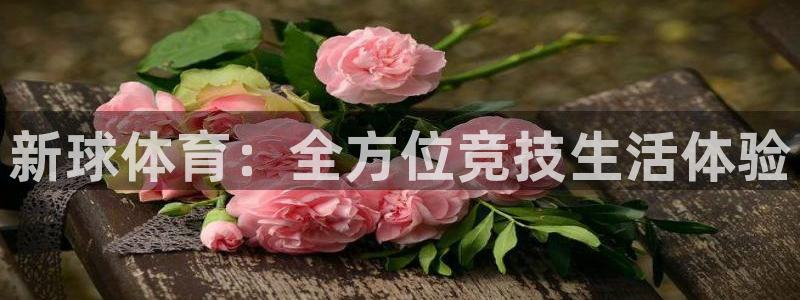 新球体育：全方位竞技生活体验