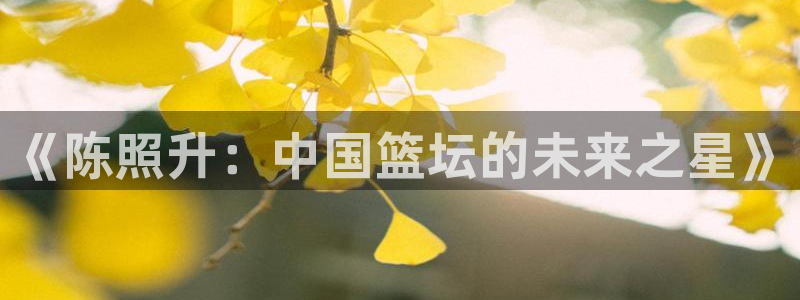 《陈照升：中国篮坛的未来之星》