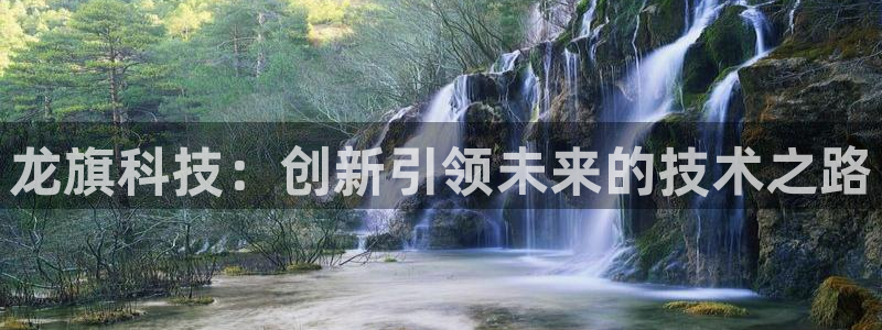 龙旗科技：创新引领未来的技术之路