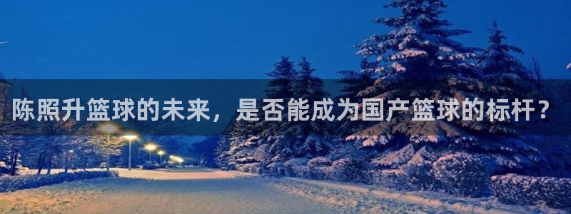 陈照升篮球的未来，是否能成为国产篮球的标杆？