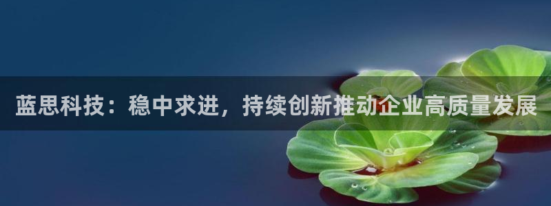 蓝思科技：稳中求进，持续创新推动企业高质量发展