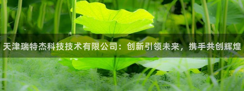 天津瑞特杰科技技术有限公司：创新引领未来，携手共创辉煌