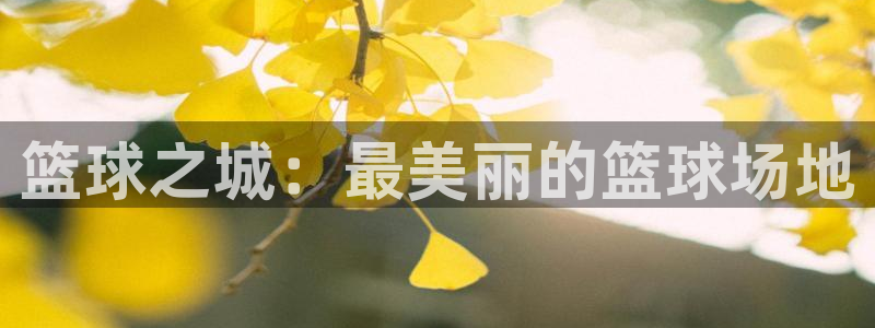 篮球之城：最美丽的篮球场地