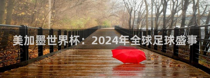 美加墨世界杯：2024年全球足球盛事