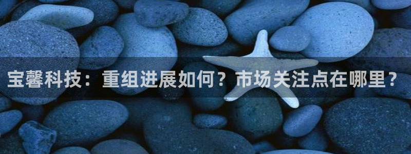宝馨科技：重组进展如何？市场关注点在哪里？