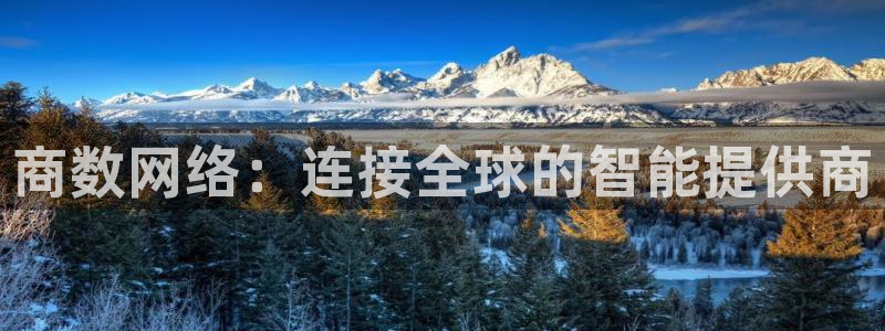 商数网络：连接全球的智能提供商