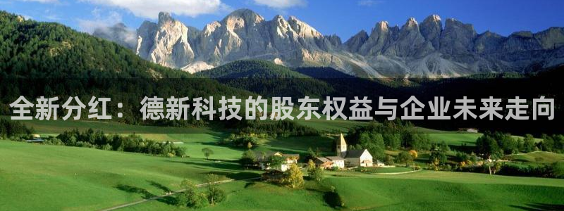 全新分红：德新科技的股东权益与企业未来走向