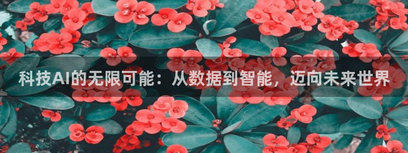 科技AI的无限可能：从数据到智能，迈向未来世界